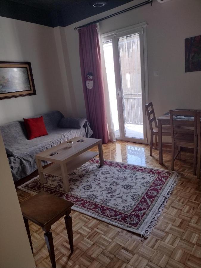 City Center Apartment Ioánnina Exteriér fotografie